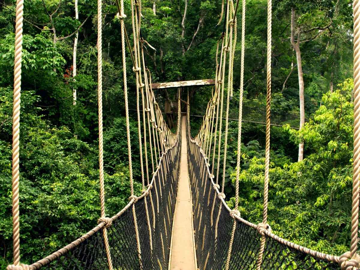 Kakum National Park