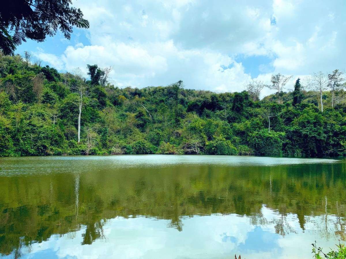 Pugu Hills Nature Reserve