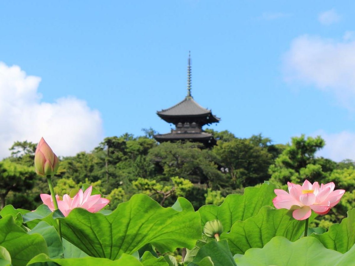 Sankeien Garden