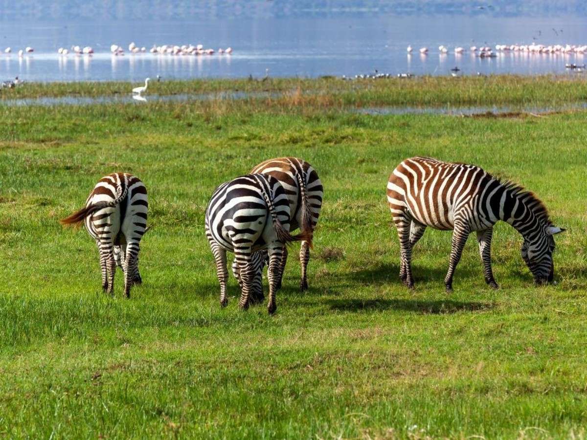 Lake Nakuru National Park