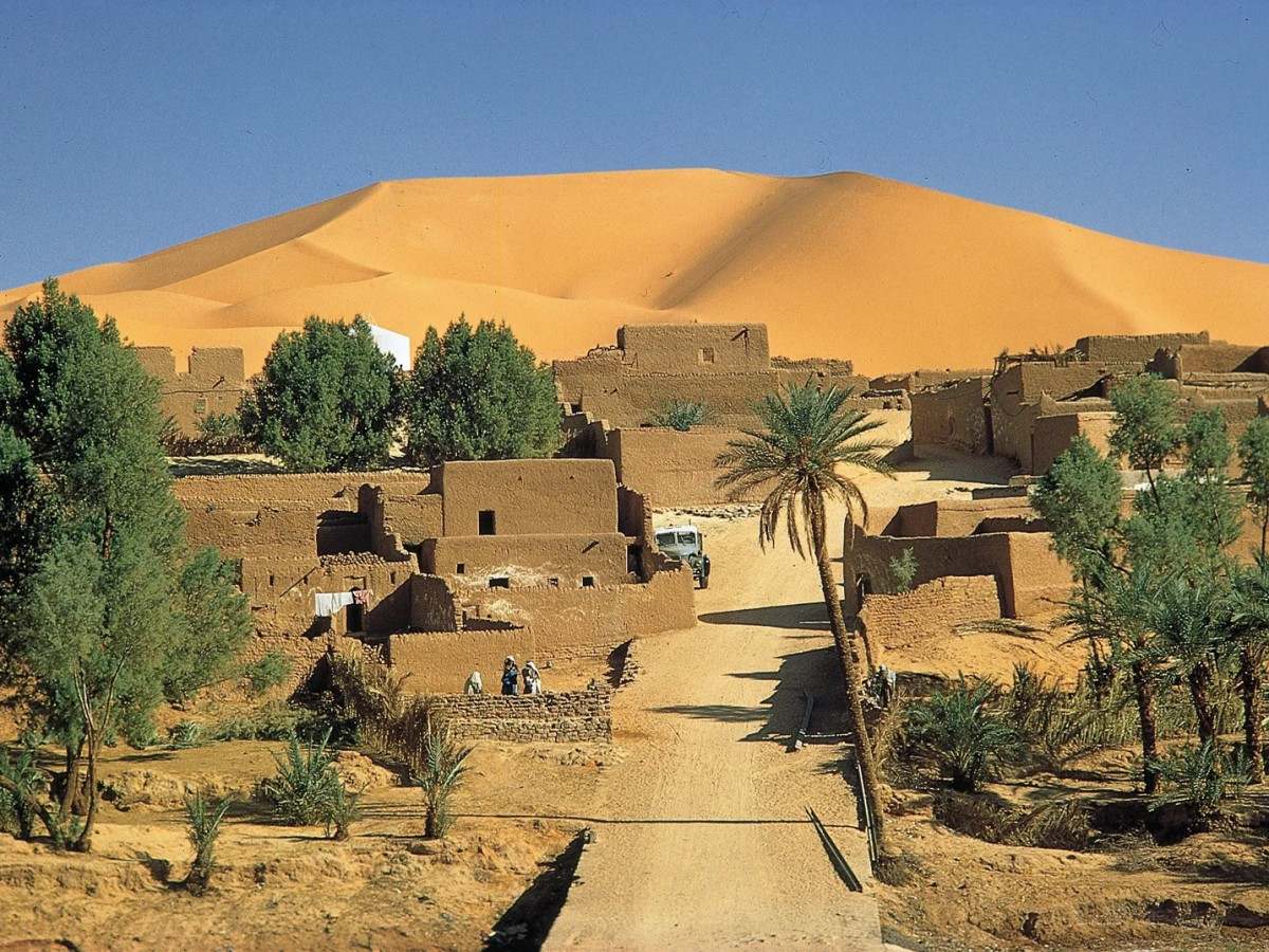 Sahara Desert Oasis