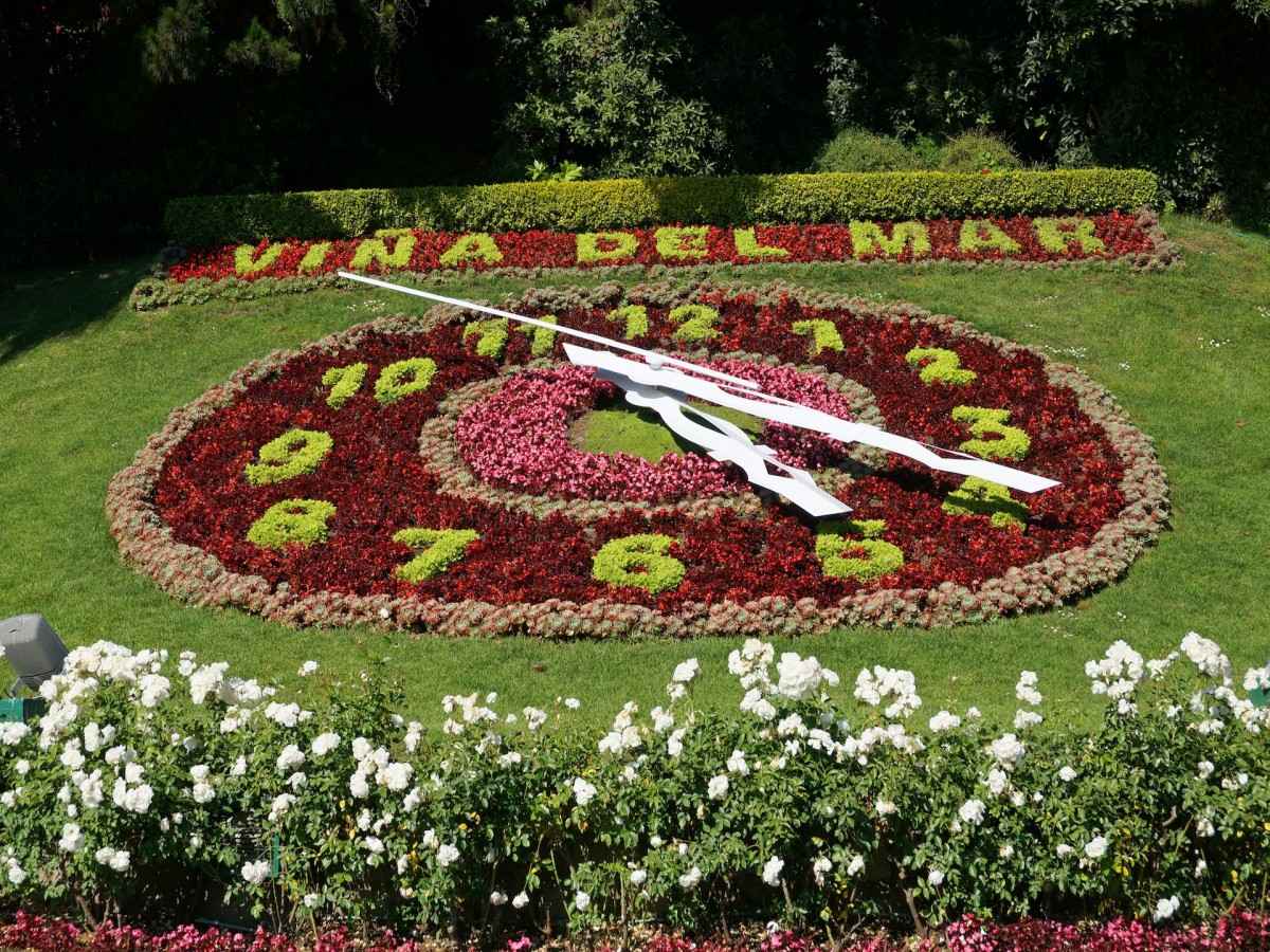 Flower Clock
