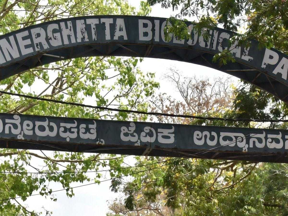 Bannerghatta National Park