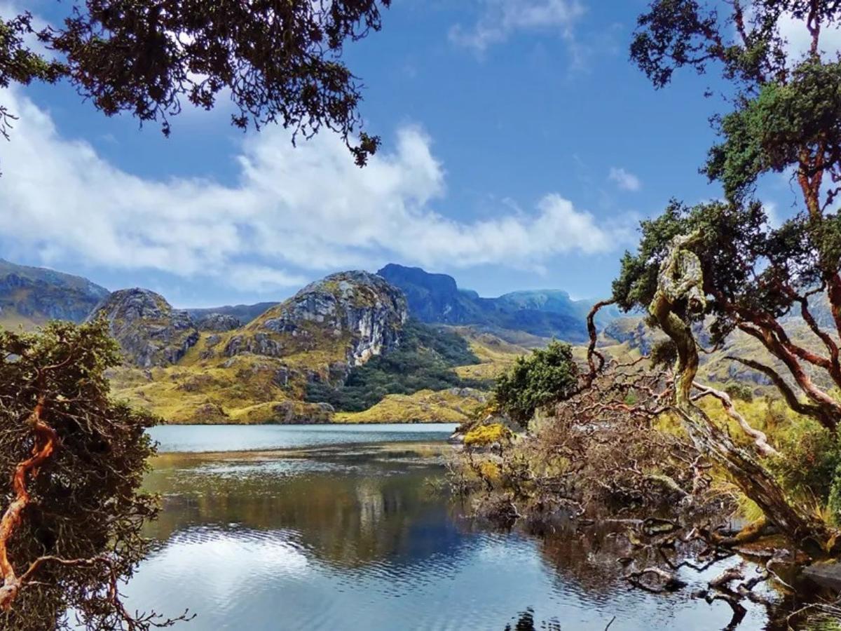 Cajas National Park