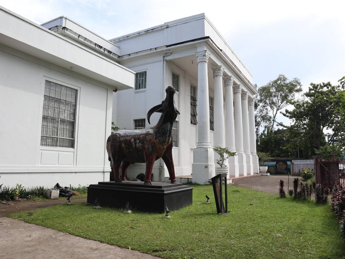 Negros Museum