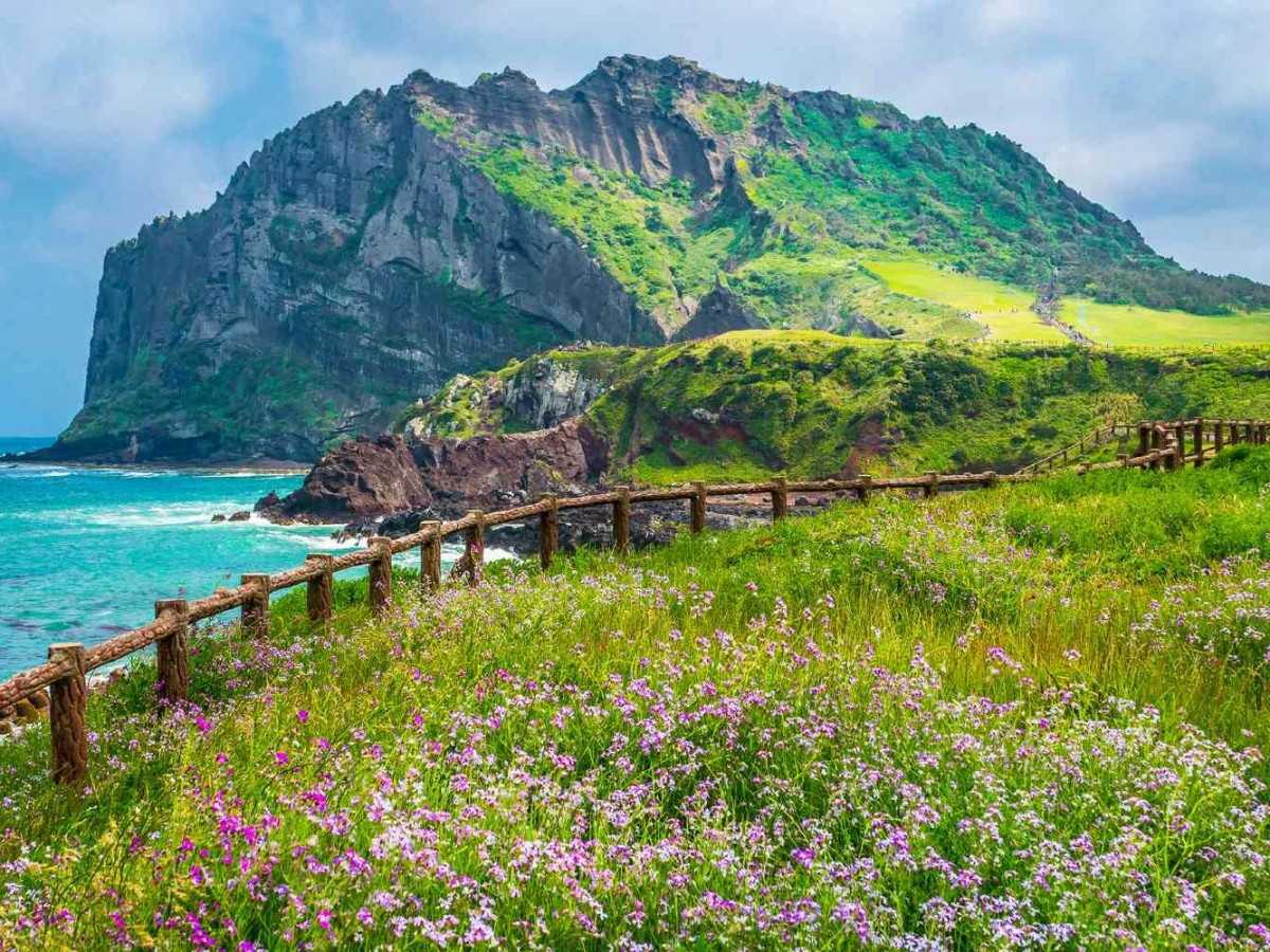 Jeju Island