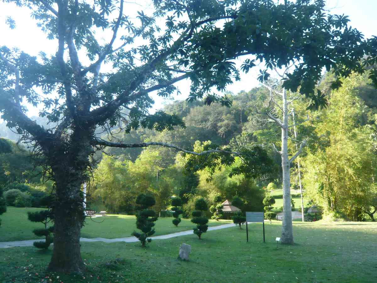 Penang Botanical Gardens