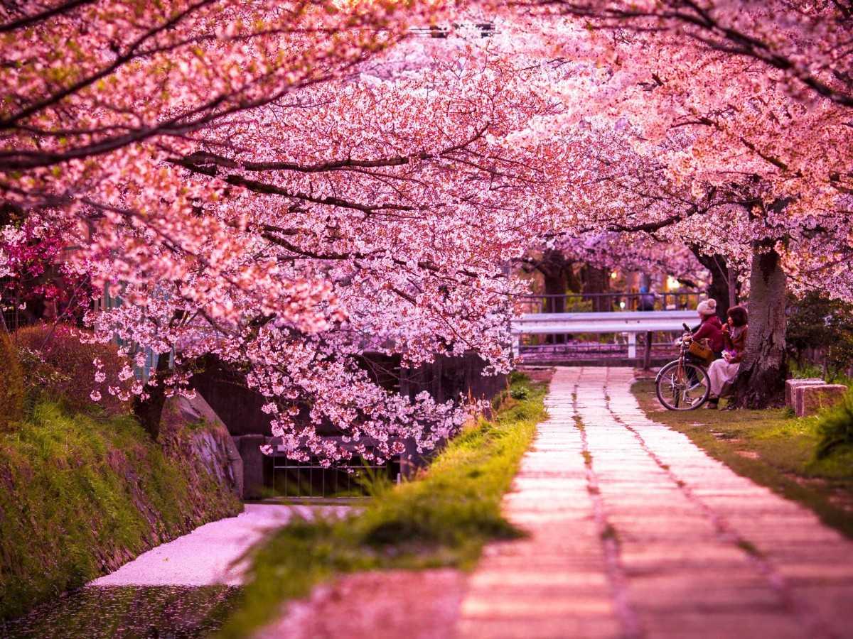 Philosopher's Path