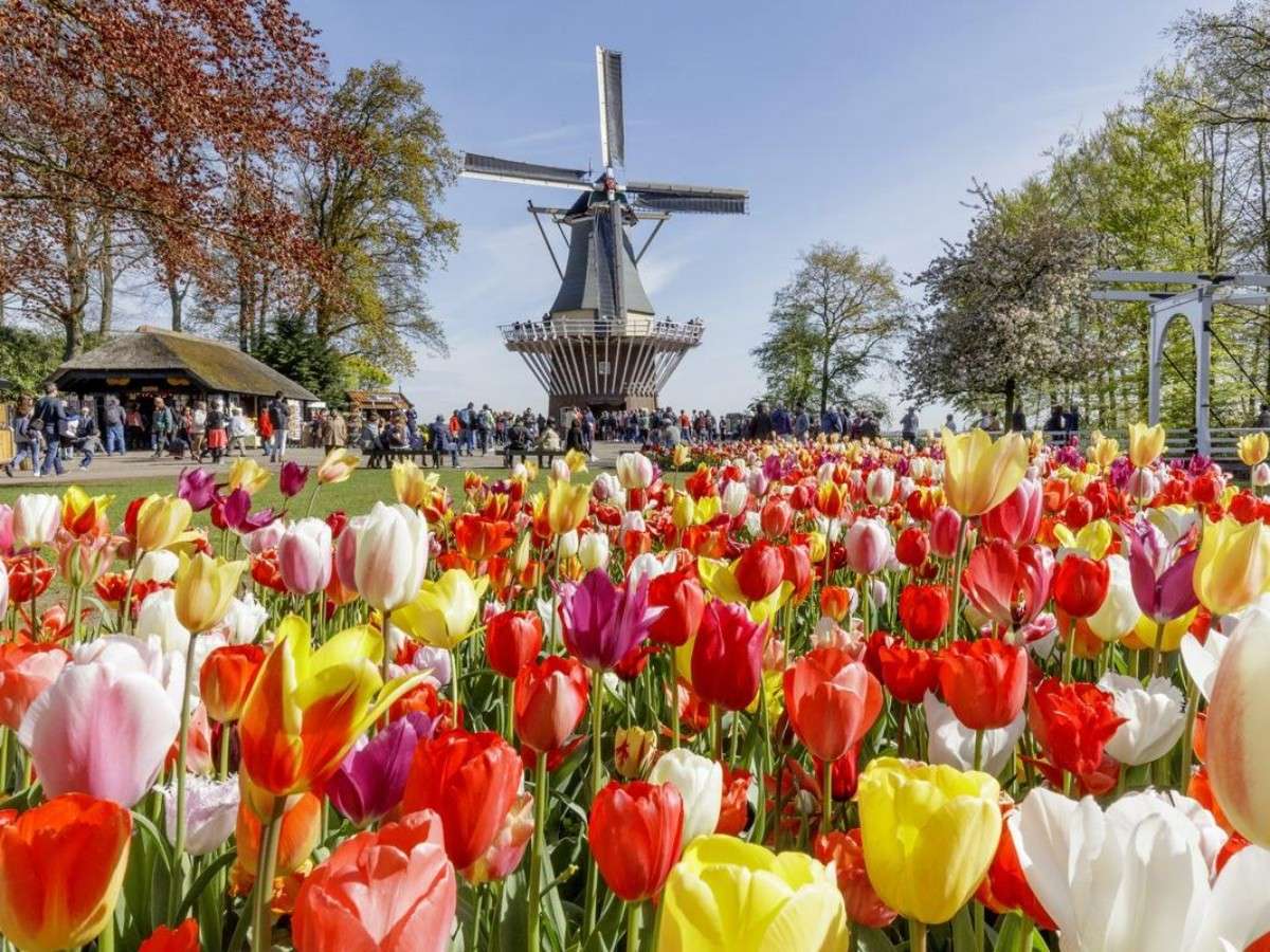 Keukenhof Gardens