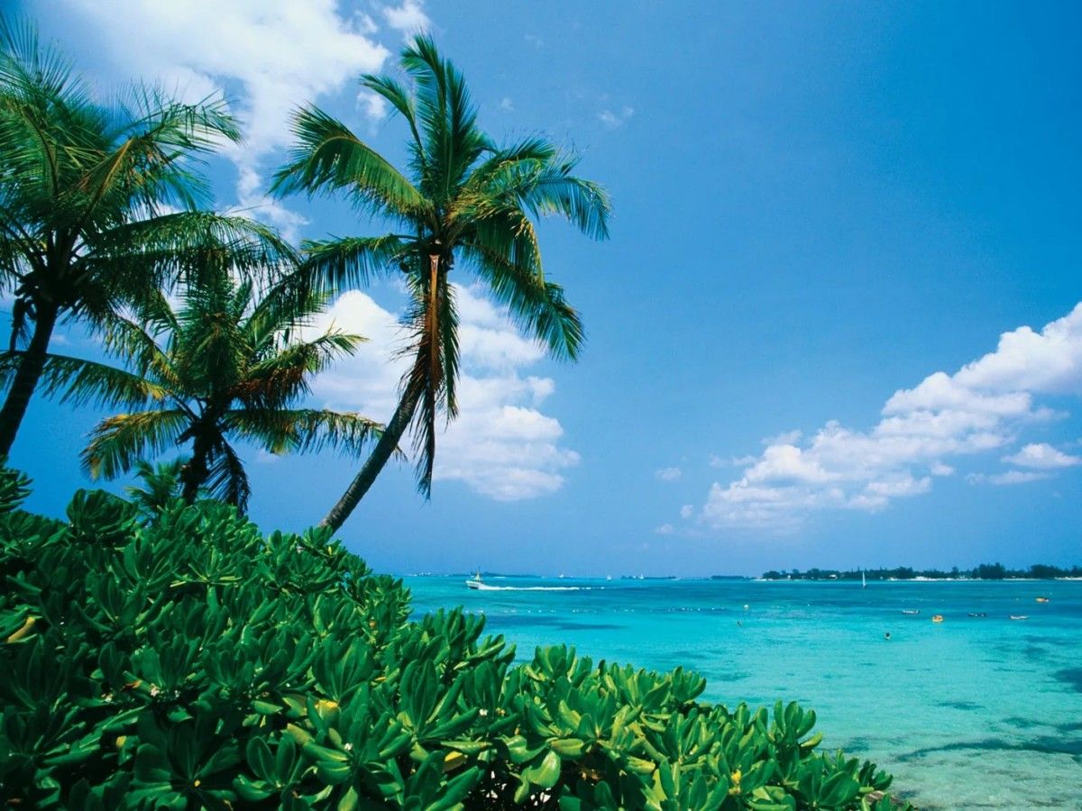 Caribbean-Bahamas