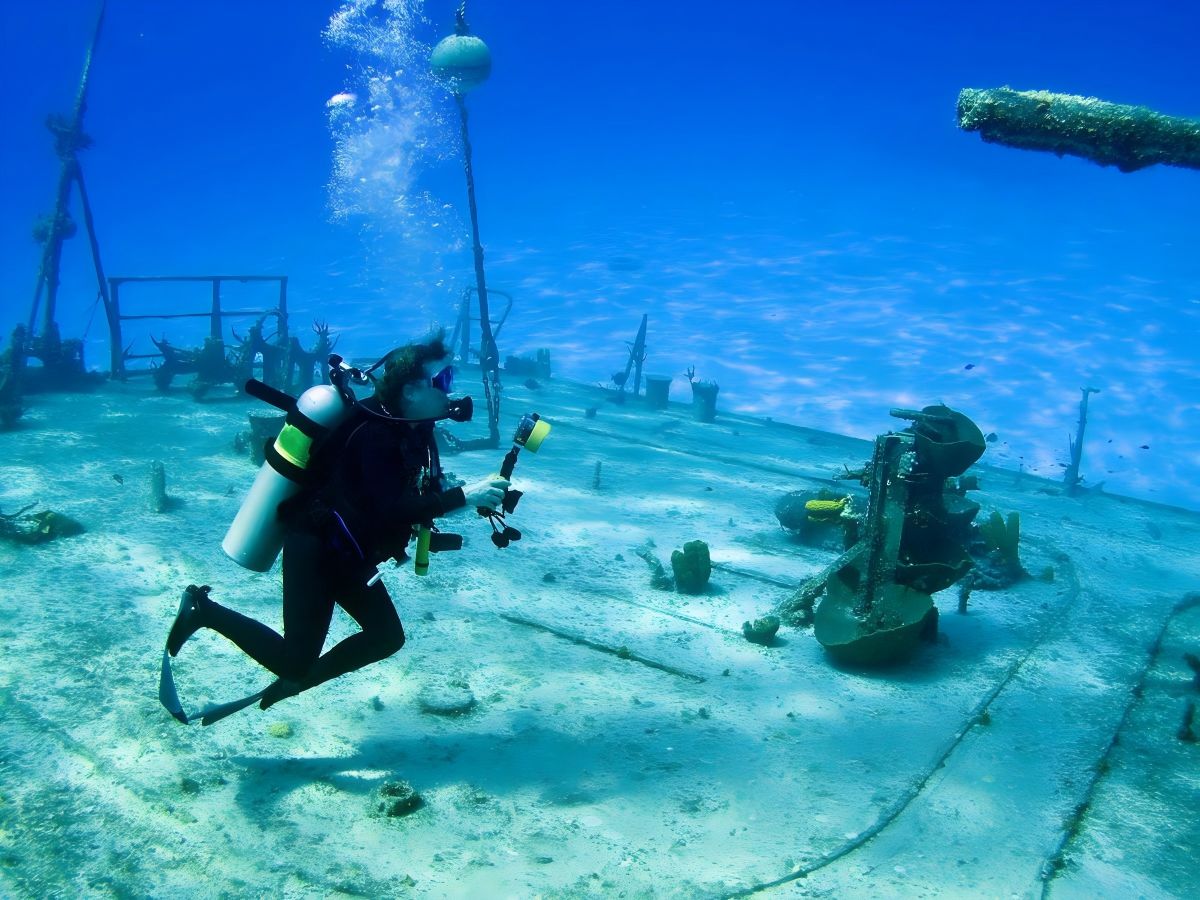 Long Island Diving