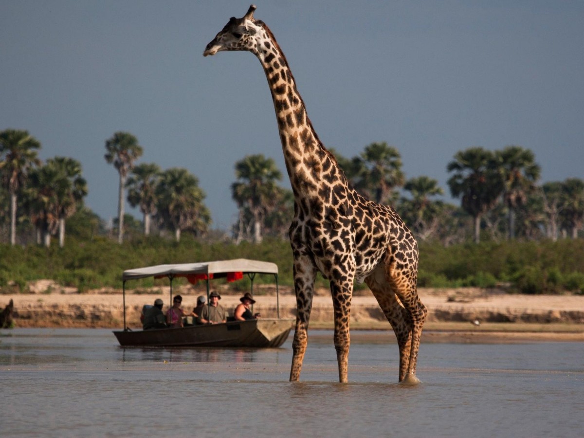 Selous Game Reserve