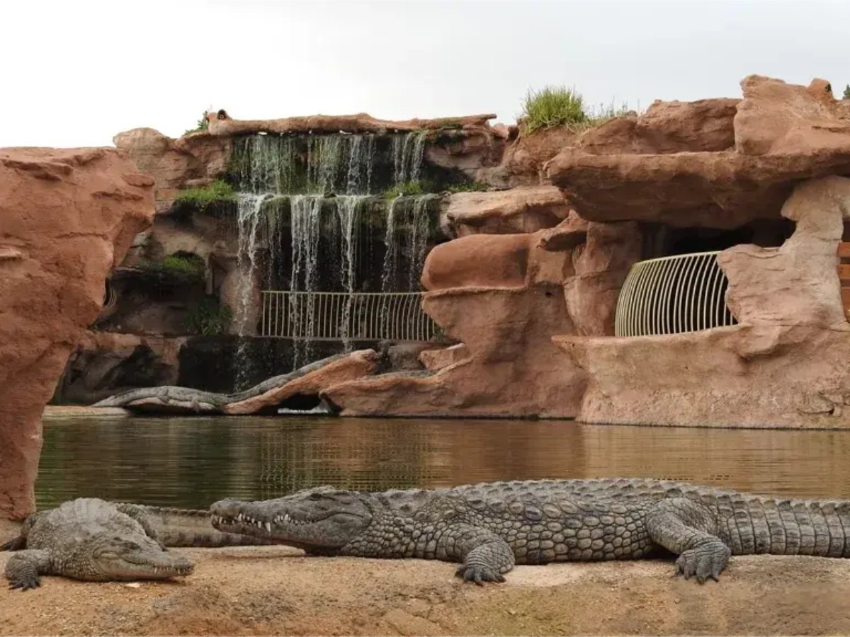 Crocoparc Agadir