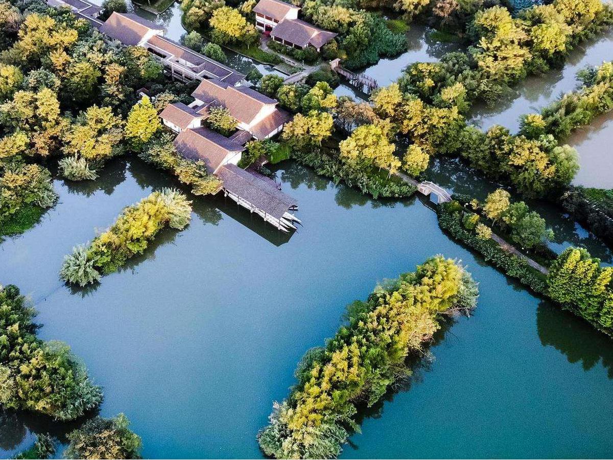 Xixi Wetland