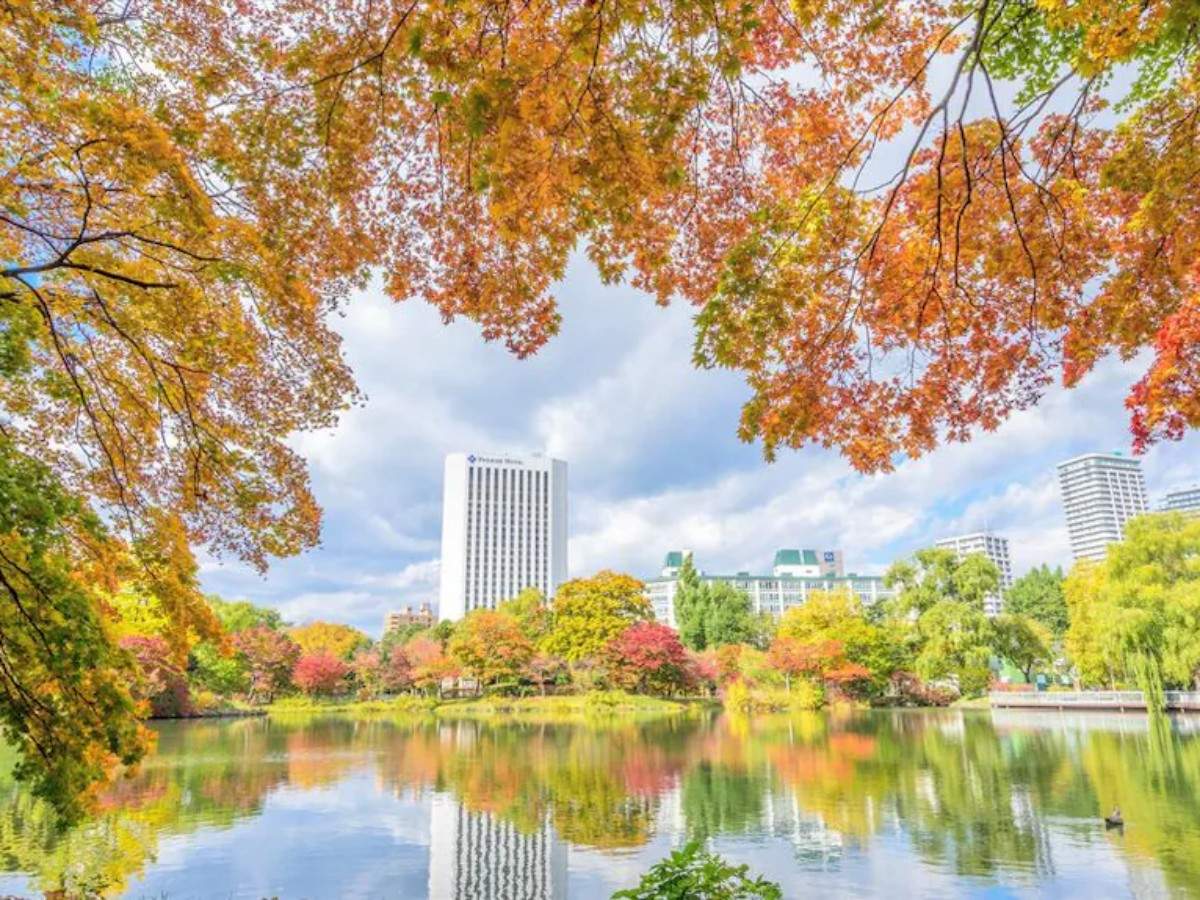 Flower viewing, boating, concert hall: Nakajima Park one-day tour