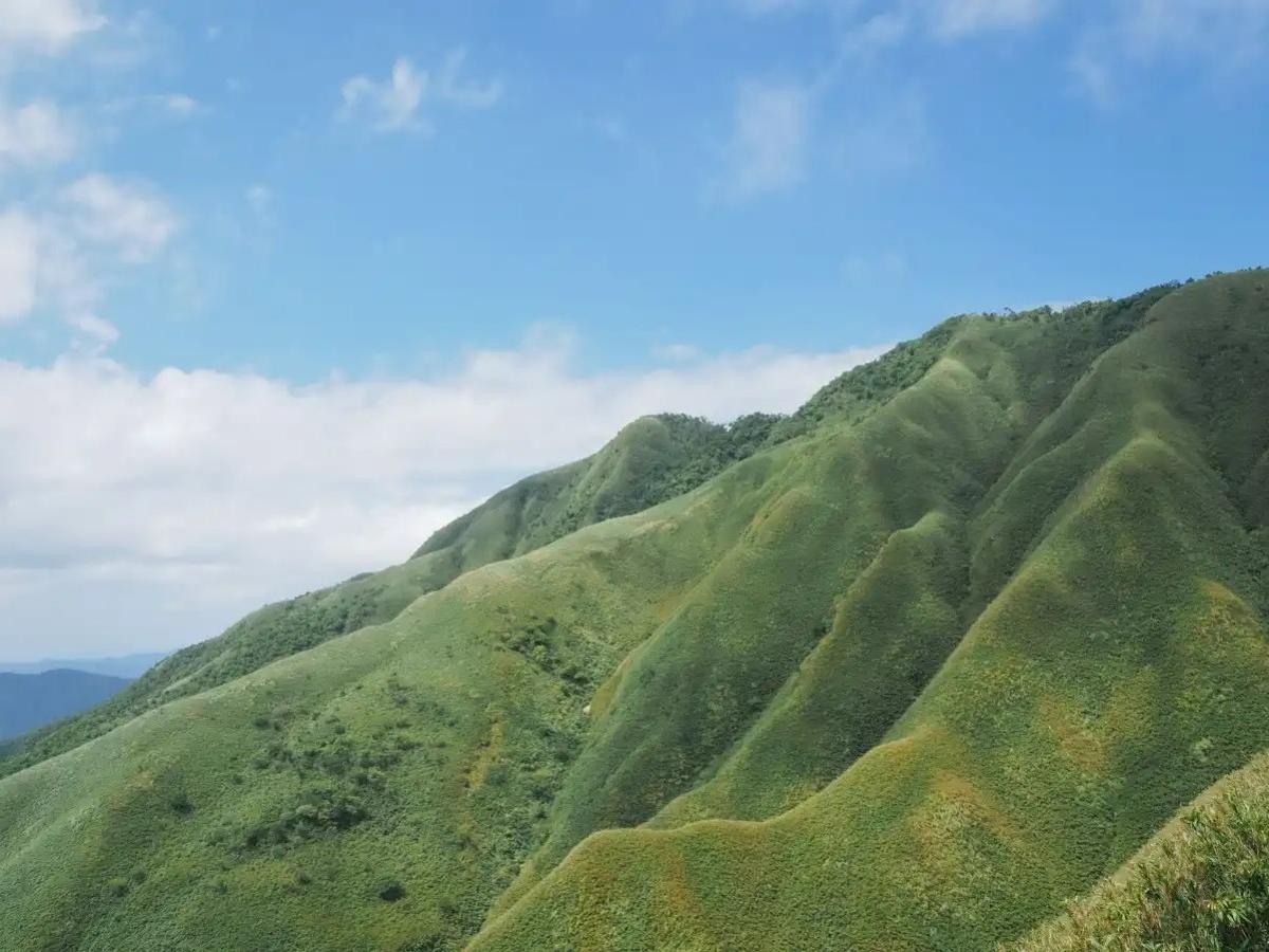Mount Machaba Elephant and Lion Wildlife Kingdom