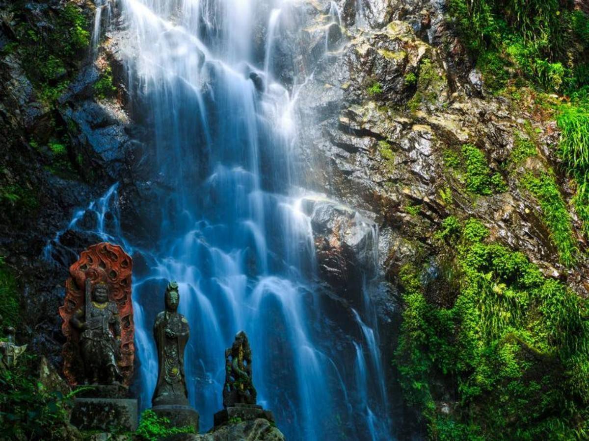 Avoid the peak hours and have fun! Recommended best travel time and one-day tour guide for Cascada de Agua Clara