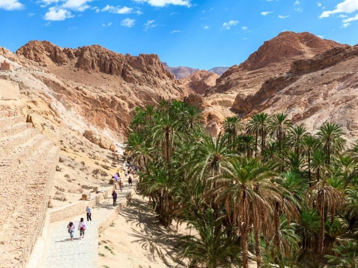 How to be a Berber for a day in Tozeur Oasis? Immersion class from irrigation to weaving