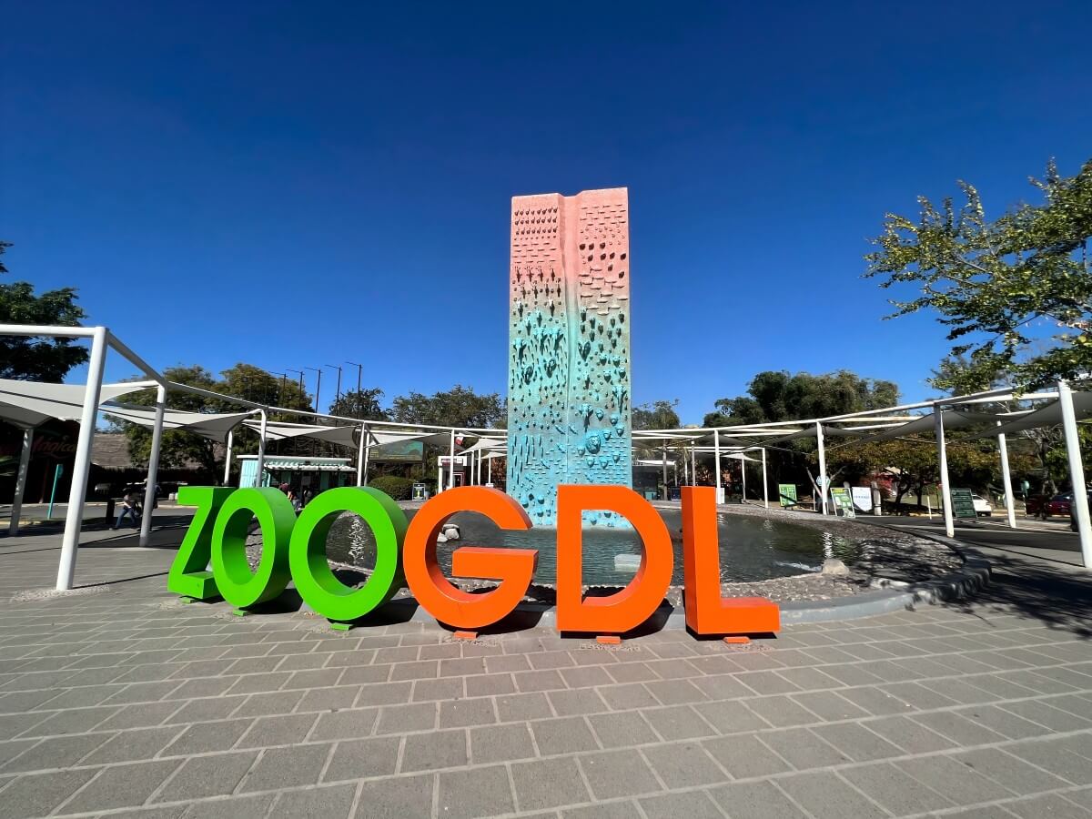 Want to see rare animals? Guadalajara Zoo fulfills your needs