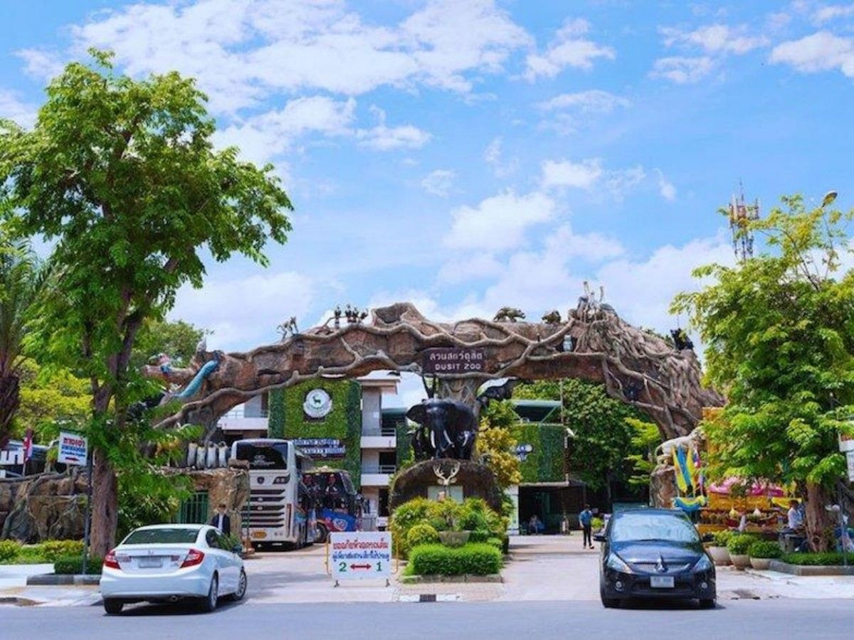 A comprehensive look at Dusit Zoo's unique animals: Experience a different world of animals.