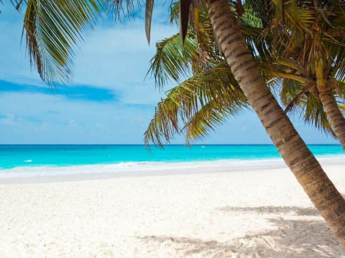 Listen to the sound of the sea: In Playa Blanca, every breath carries the smell of the sea