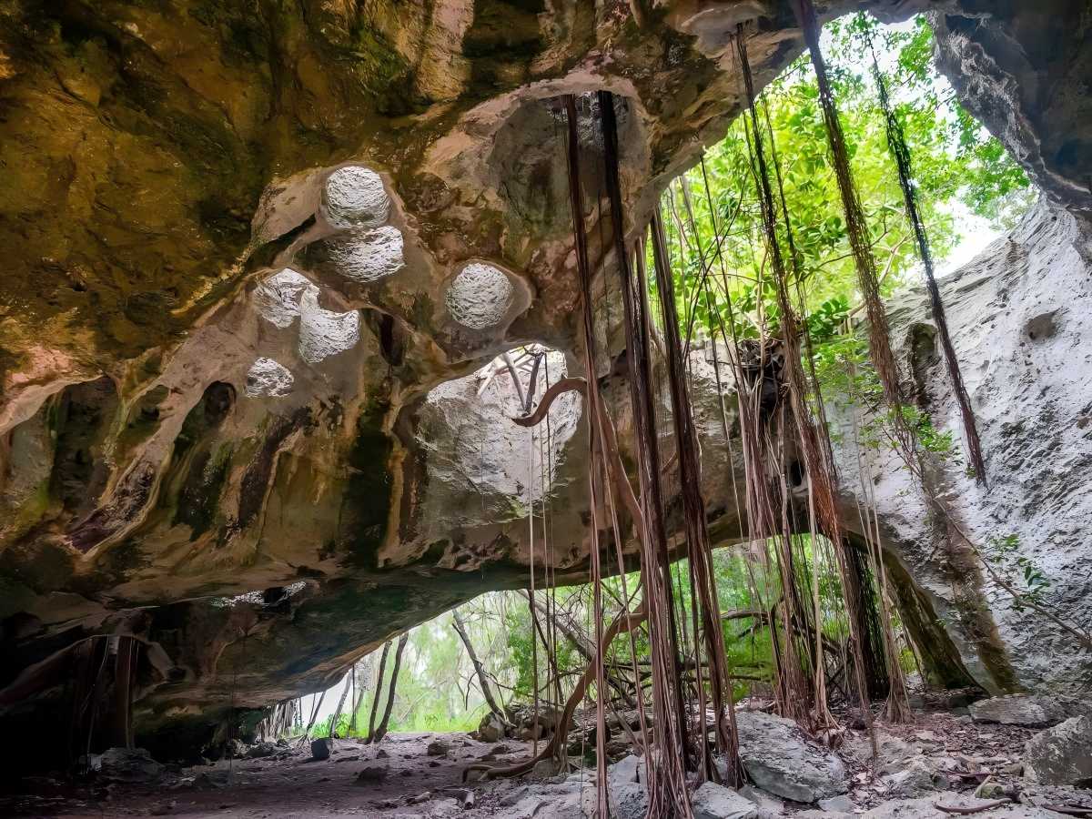 Discover Indian Cave: Experience Cuba's most pristine natural charms