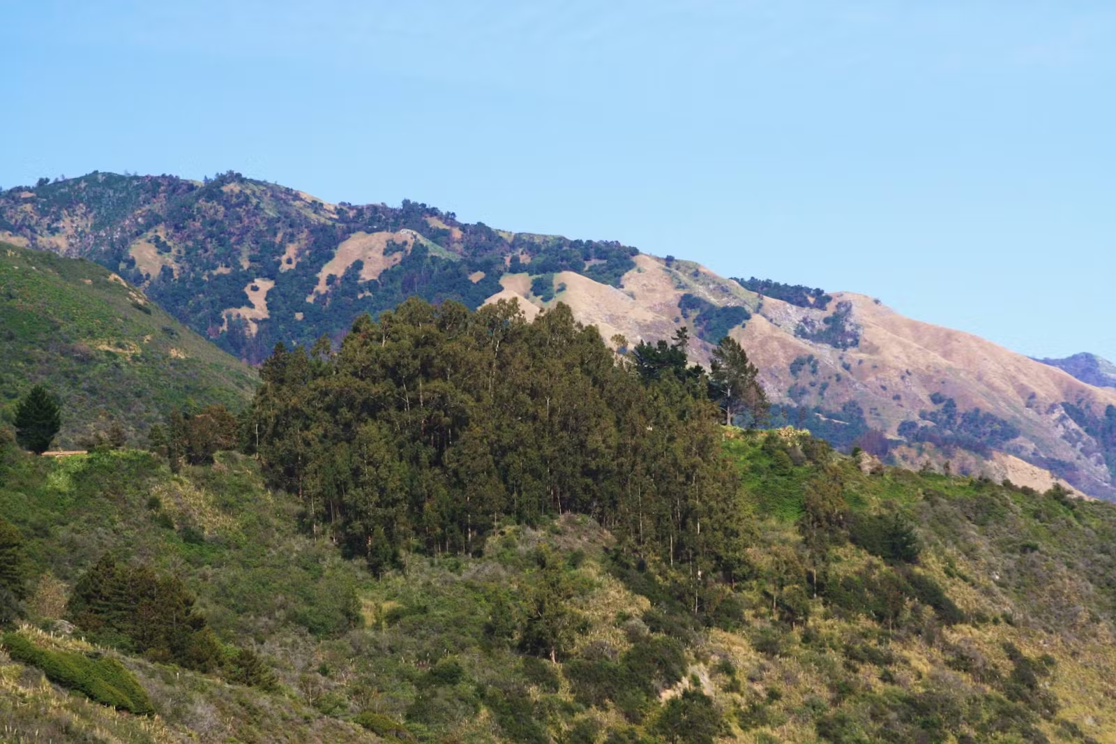 How to play in Santa Lucia Mountain? This guide will give you the answer