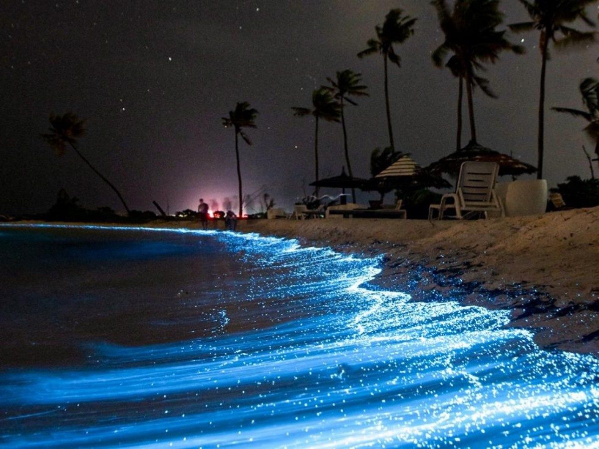 Luminous Lagoon must-see guide: How is the mysterious blue light at night formed?