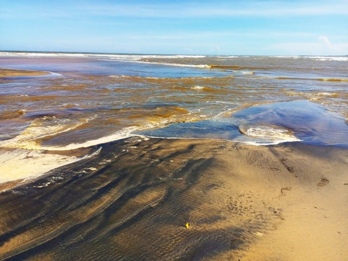 Hiking, photography or bird watching? Sabaki River Estuary is suitable for you
