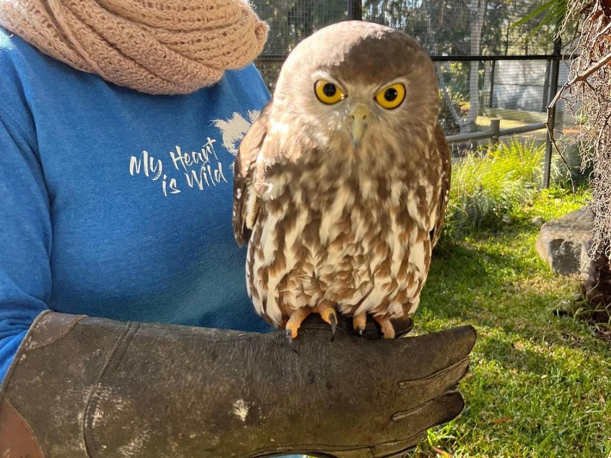 A Complete Guide to Exploring Canberra's National Zoo and Aquarium