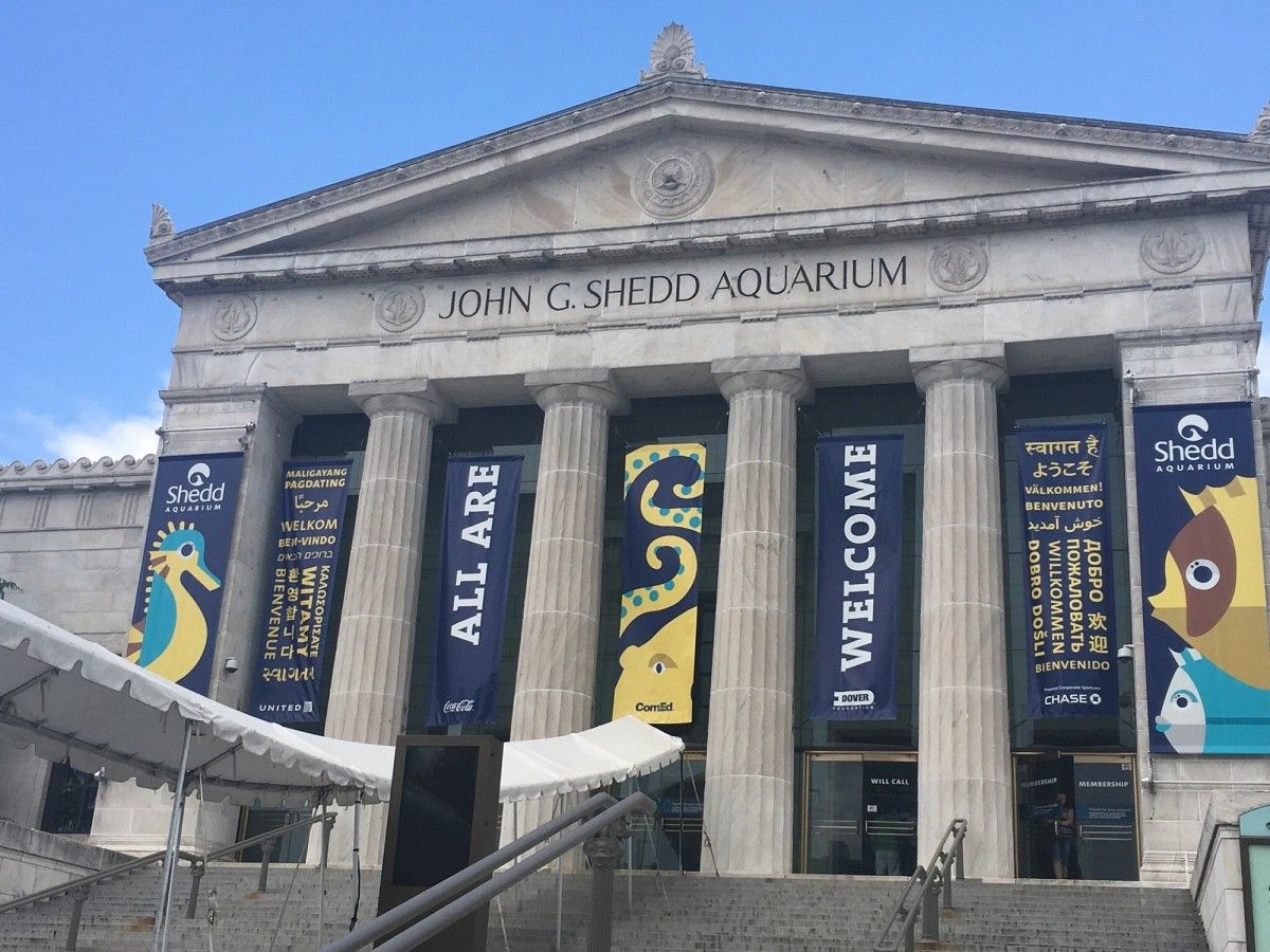 Art Institute of Chicago must-see: the best places to visit!