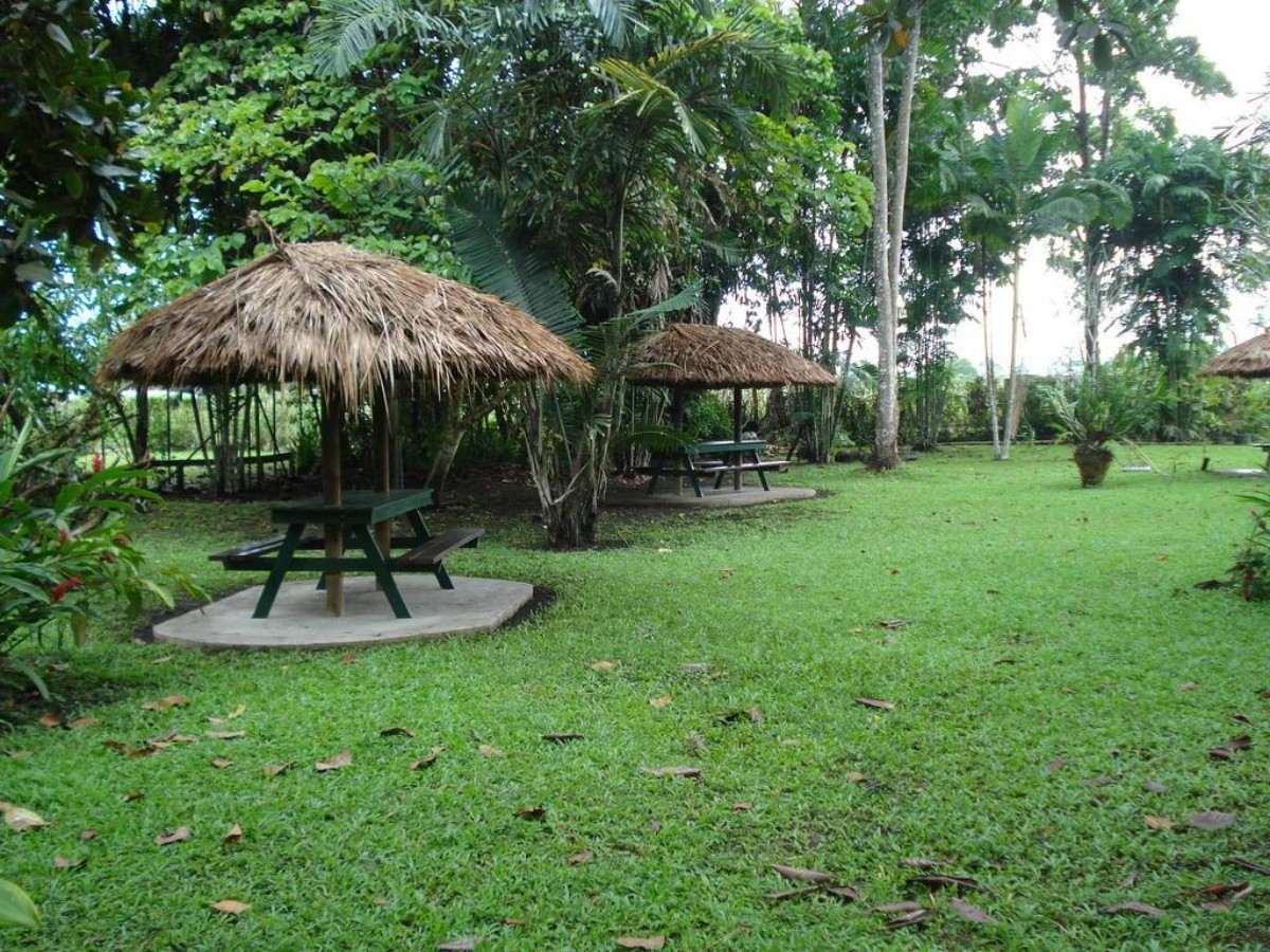 Living Among Paradise Birds: A Guide to Exploring the Lae Rainforest Habitat
