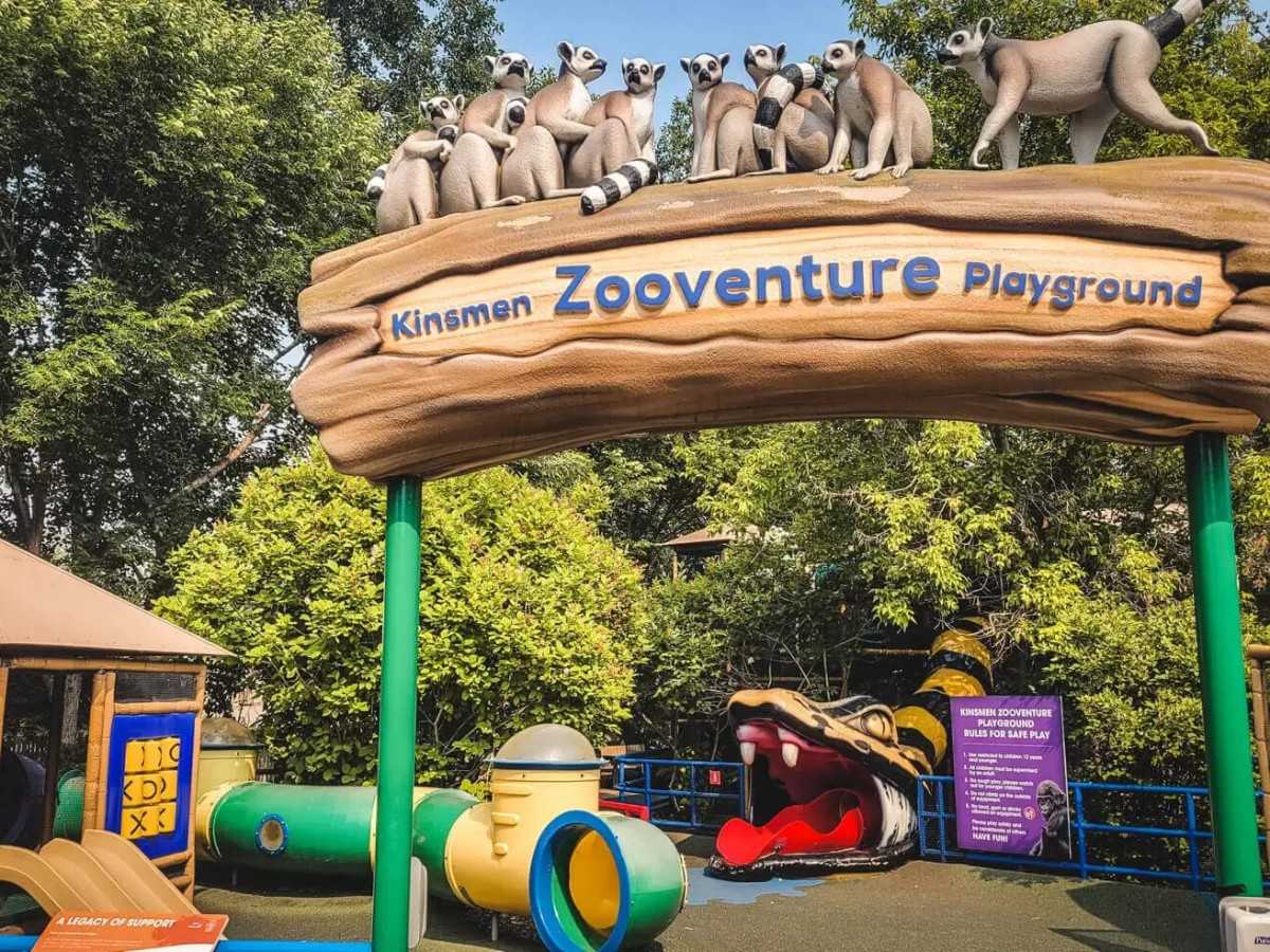 Lunch next to a giraffe? A guide to wild restaurants at the Calgary Zoo!