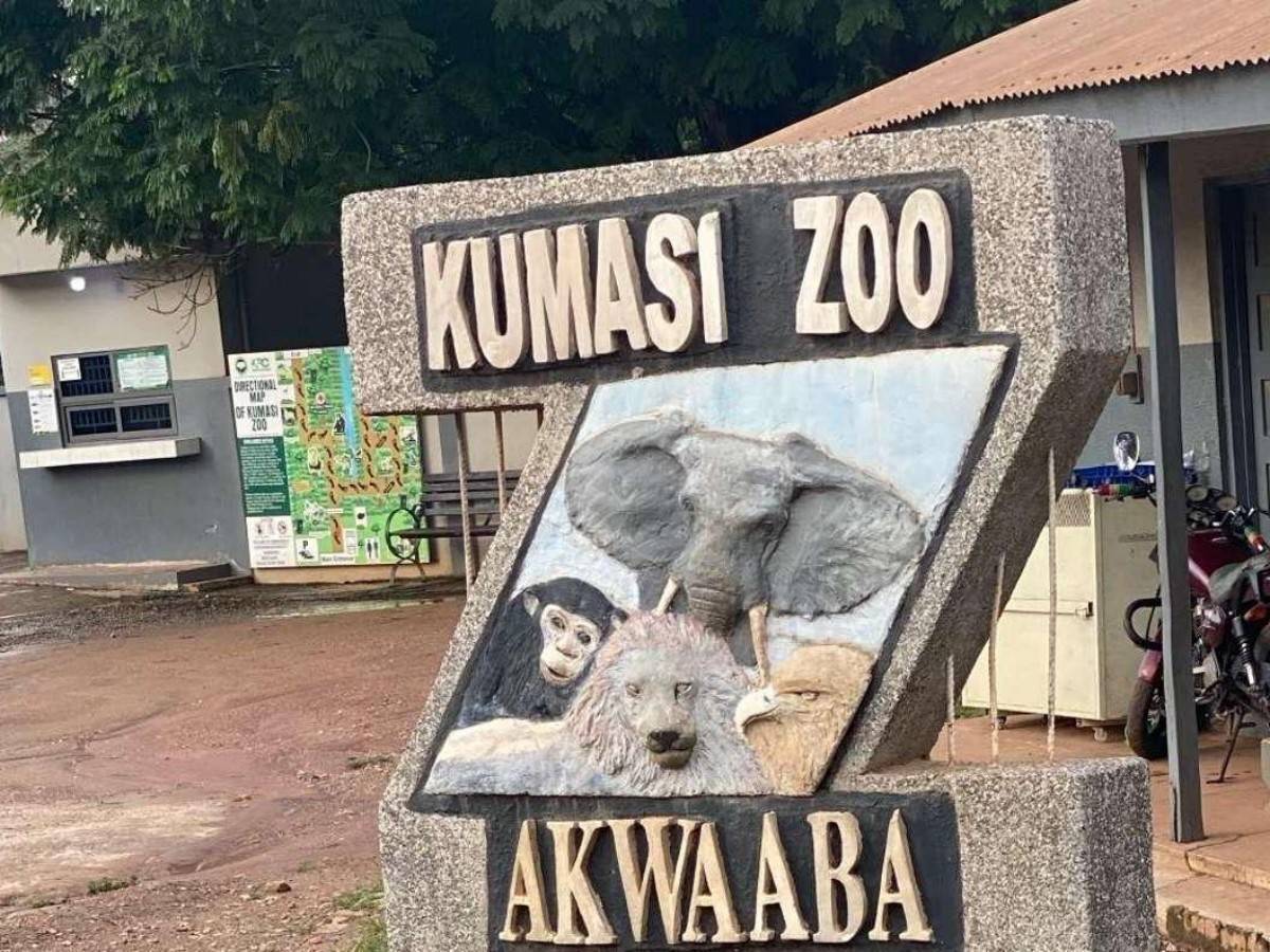 Kumasi Zoo: What you need to know before you enter!