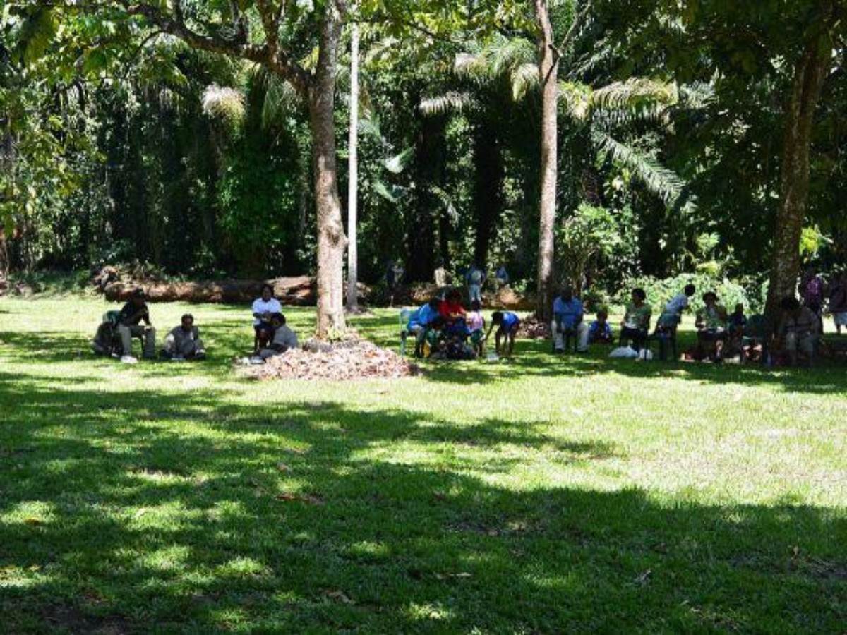 A Hub for Scientific Research or a Natural Paradise? Exploring the Dual Facets of Lae Botanic Gardens