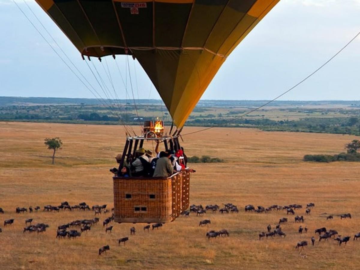 Balloon Safaris: Viewing the African Savannah from the Sky