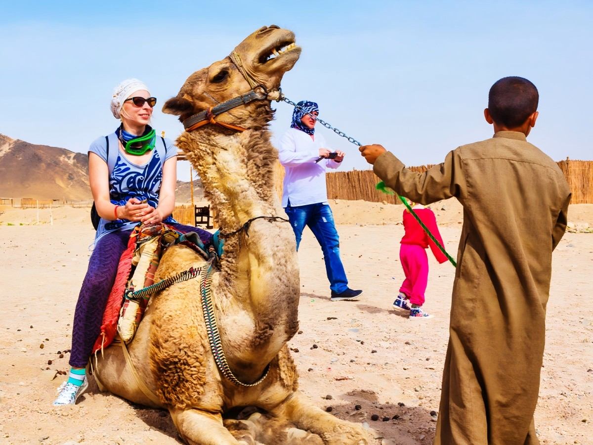Sharjah Desert Park: Exploring a Hidden Life
