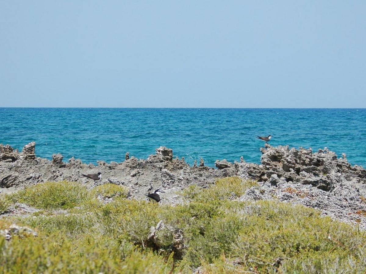Diving guide in Peterson Cay National Park!