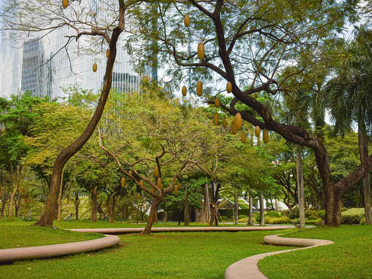 Is it OK to visit during the rainy season? La Flora Ecological Park Weather Strategy + Alternative Plans