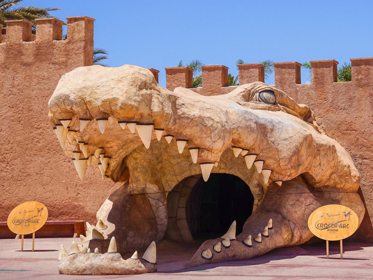 Travel with children without pitfalls: A complete guide to Crocoparc Agadir for family travel experience