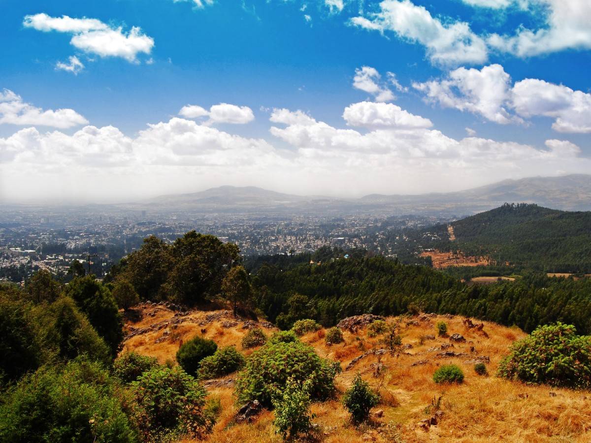 Breathe the air in the clouds: walk through the pine forest and touch the clouds at Mount Entoto