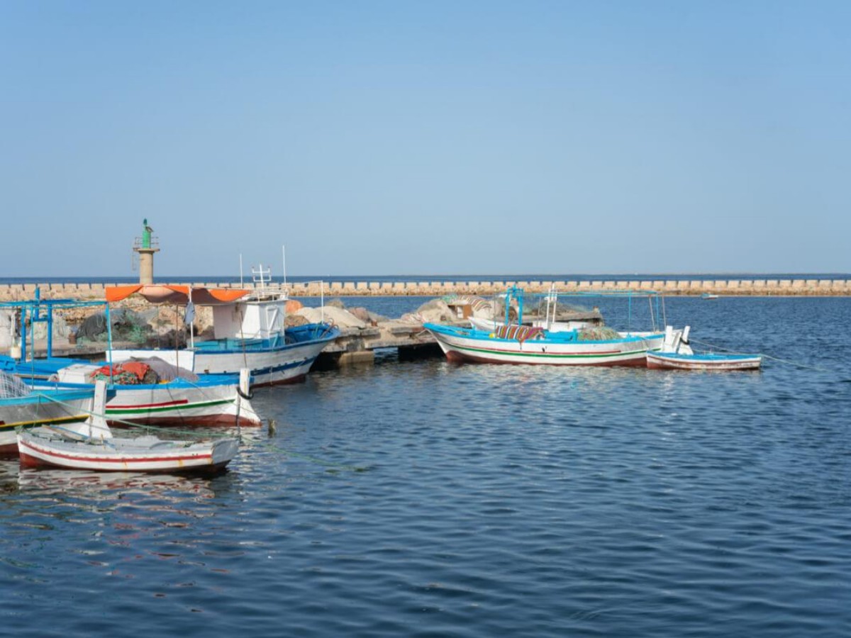 Avoid the trap of ripping off tourists! A complete guide to avoiding the trap of Kerkennah fishing boat transfer + homestay