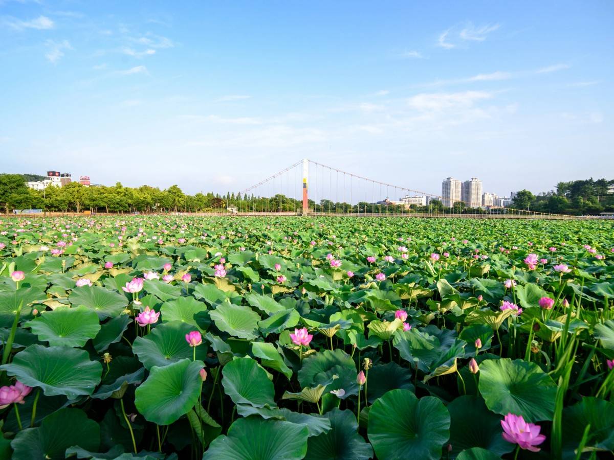 Which season is the best to visit Jeonju Park?