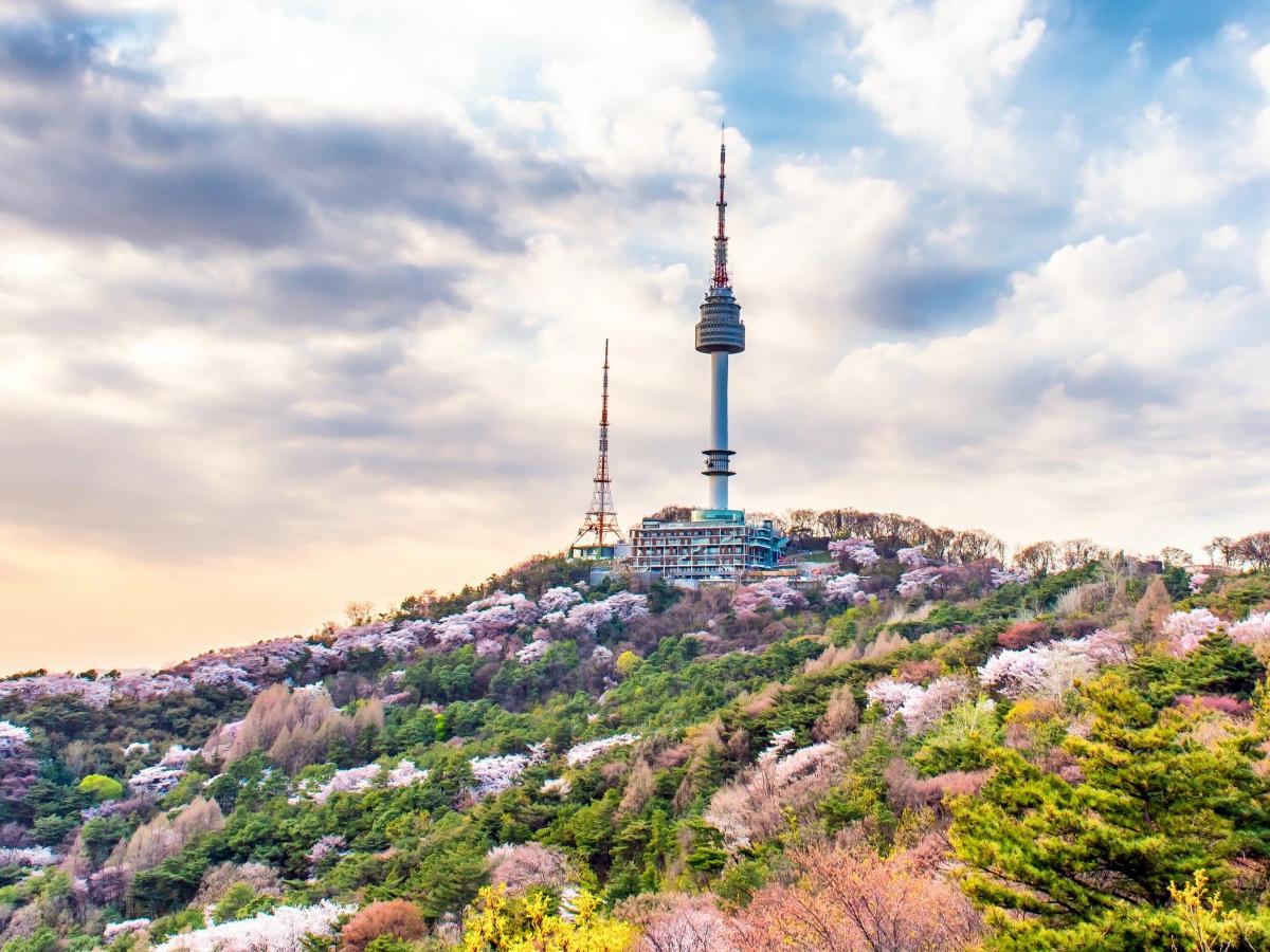 N Seoul Tower Tour Guide: Experience a 360-degree Panorama of Seoul