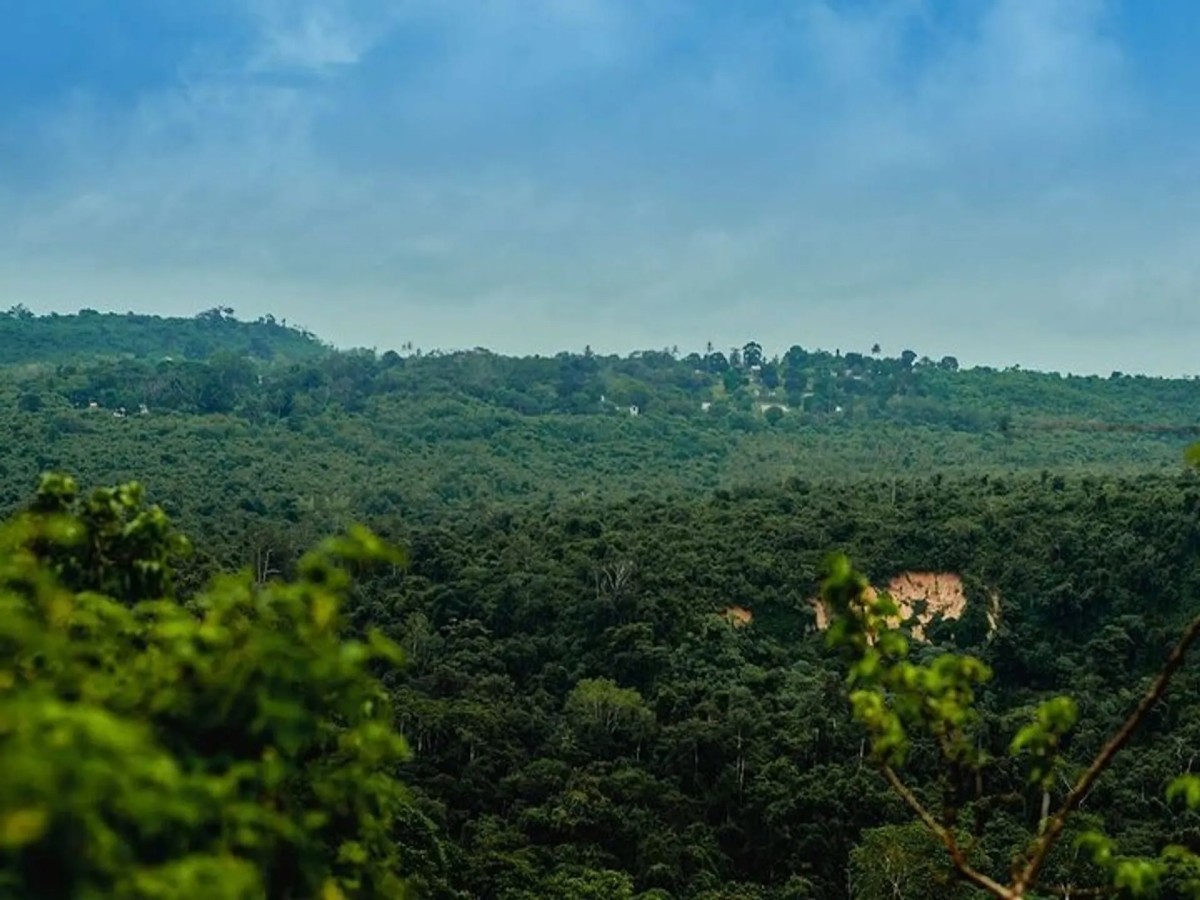Encounter pristine nature and East African culture in the Pugu Hills