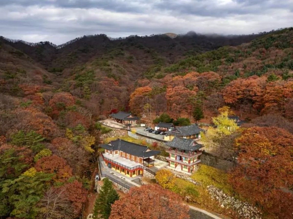 Best Tour Route for Palgong Mountain