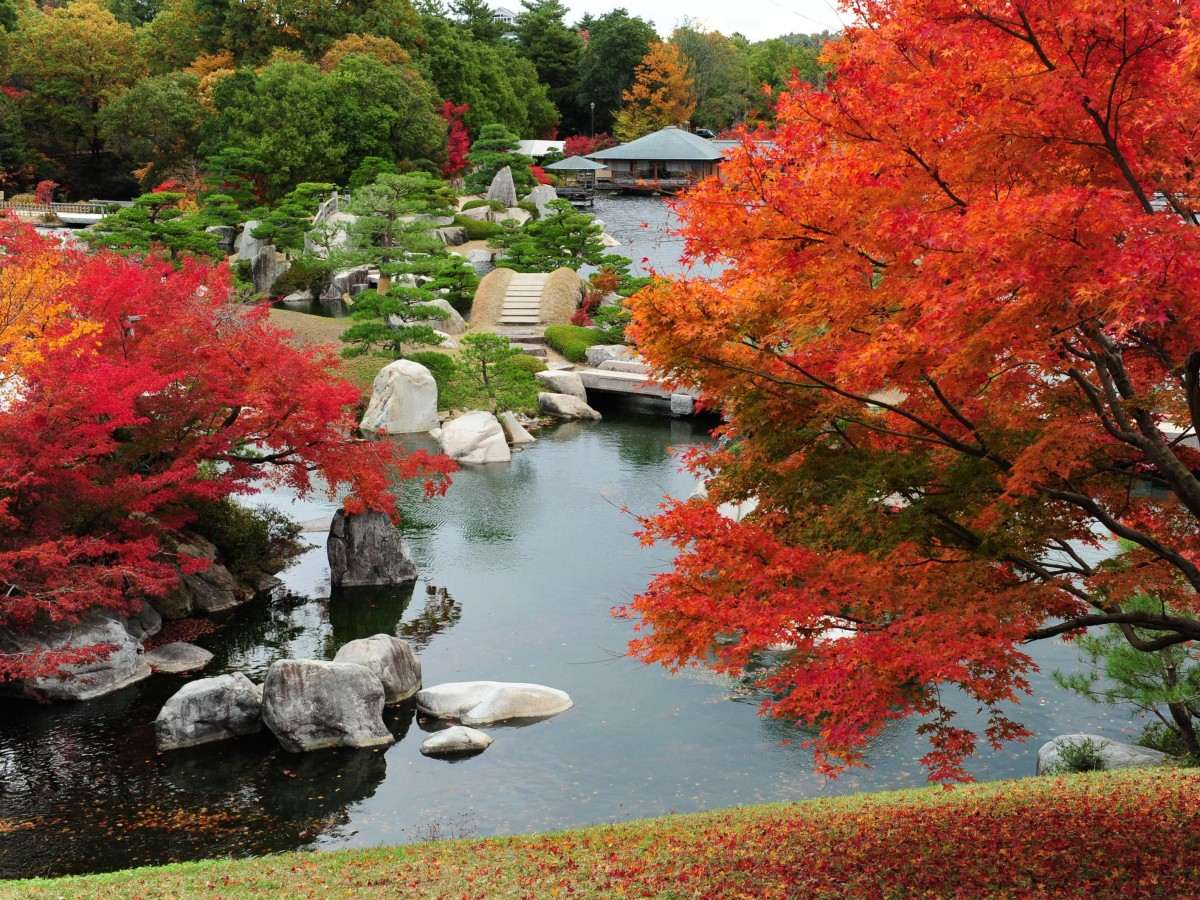 A Japanese Garden for Families and Couples: Recommended Sankeien Itinerary