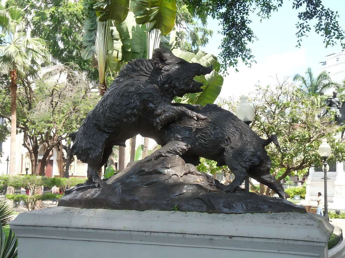 Discover Parque Seminario: one of Guayaquil's most unique natural attractions