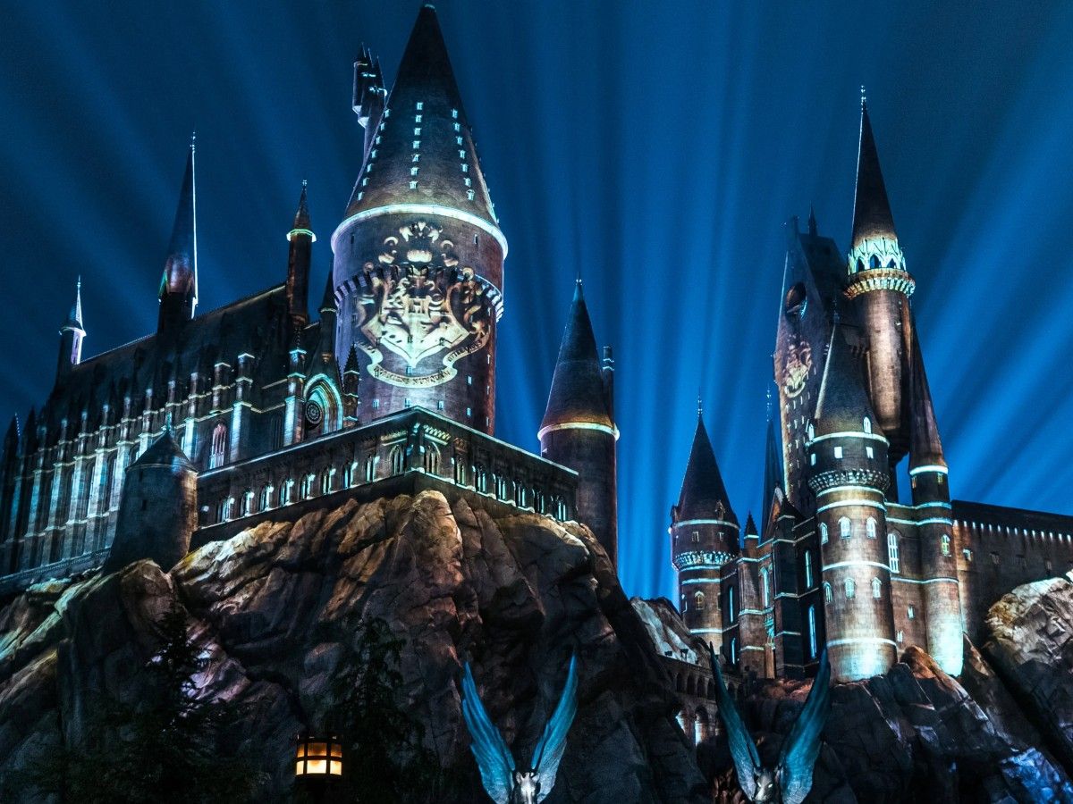 Wand Buying Guide: The Ultimate Showdown between Interactive Edition and Collector's Edition + Ollivander's Tips on Wand Selection