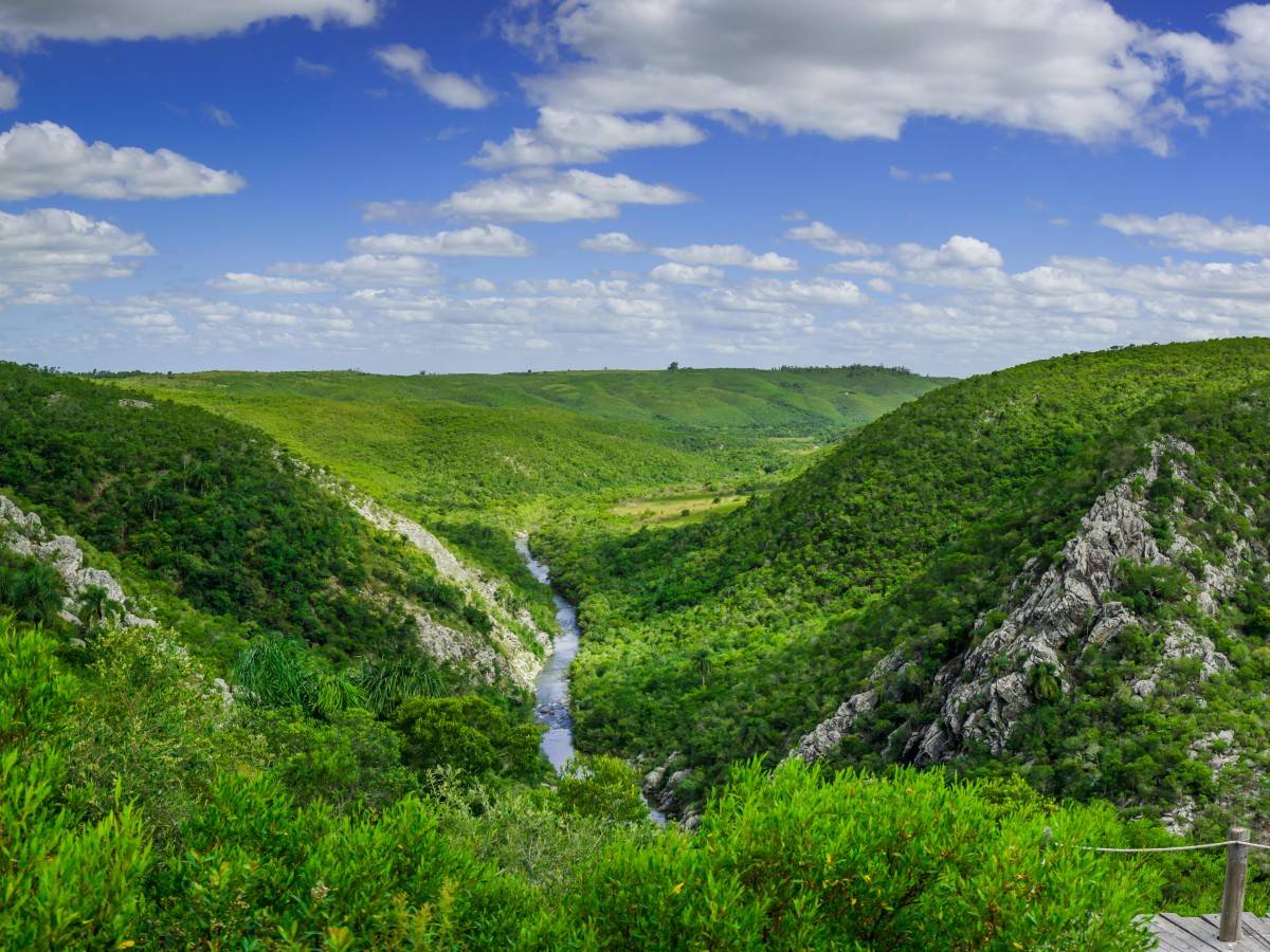 A hiker's paradise: A guide to rare bird and wildlife sightings in Quebrada de los Cuervos